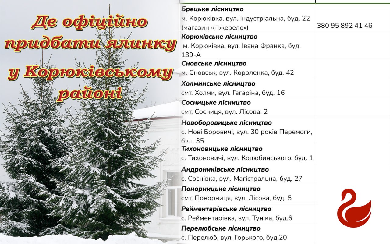 Де у Корюківському районі можна офіційно купити ялинки?