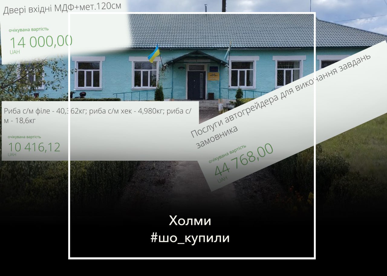 #шо_купили Мотокоса, двері, продукти. Що замовляли на кошти платників податків у Холмах?