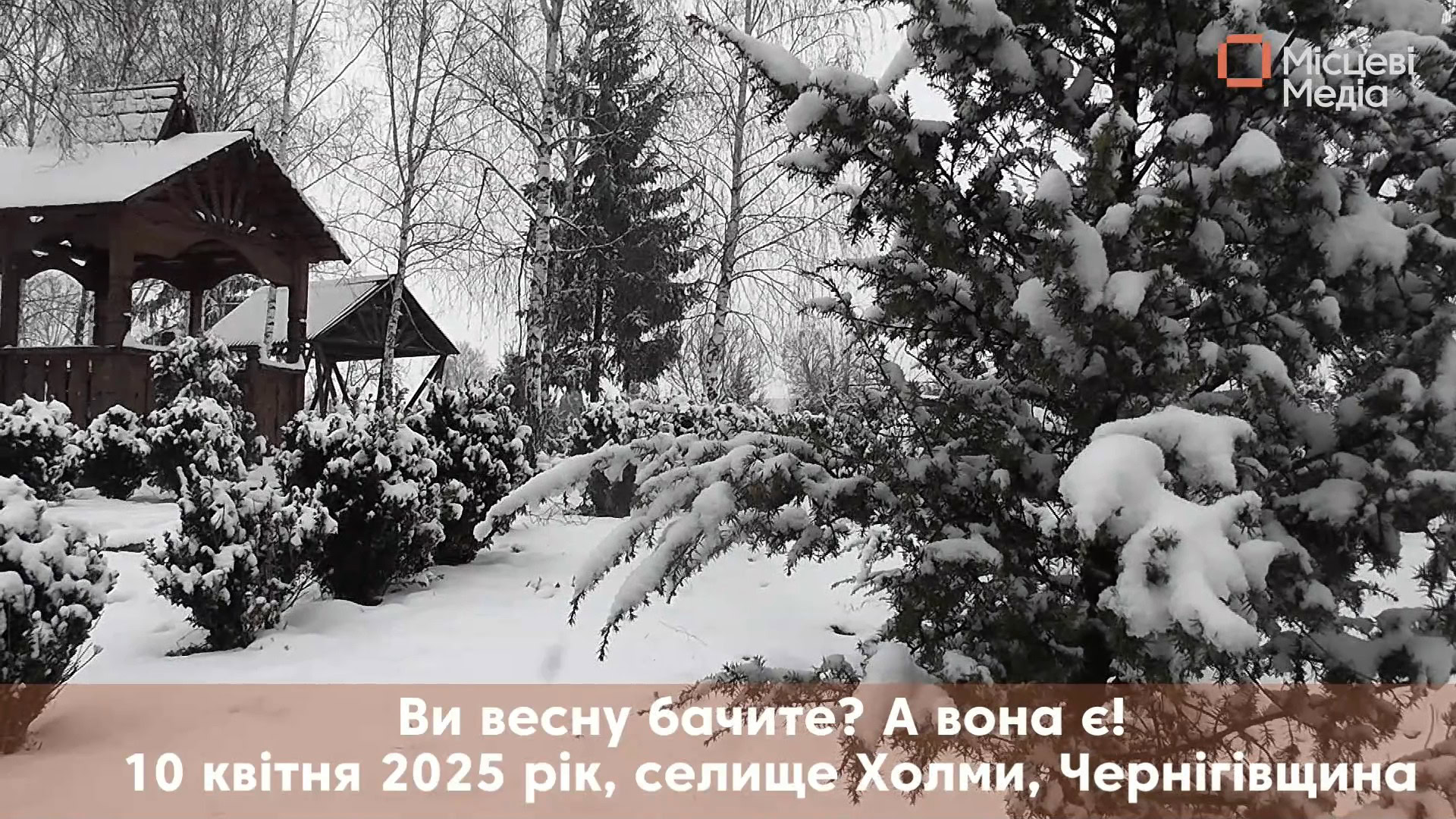 Зима, ой, весна, у Холмах&hellip;