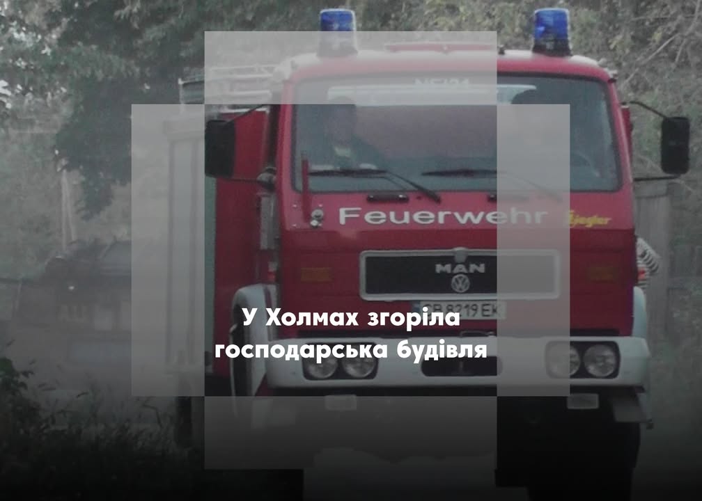 Пожежа у Холмах: знищено господарську будівлю, причини з&rsquo;ясовують