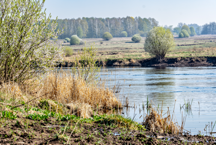 Погода у Холмах на 05.04.2026