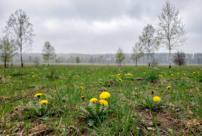 Погода у Холмах на 08.04.2026