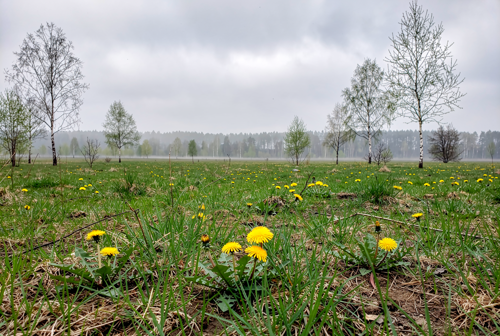 Погода у Холмах на 08.04.2026