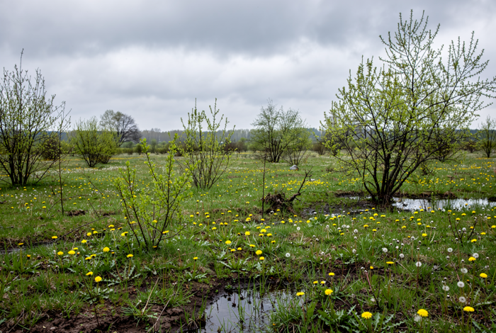 Погода у Холмах на 20.04.2026