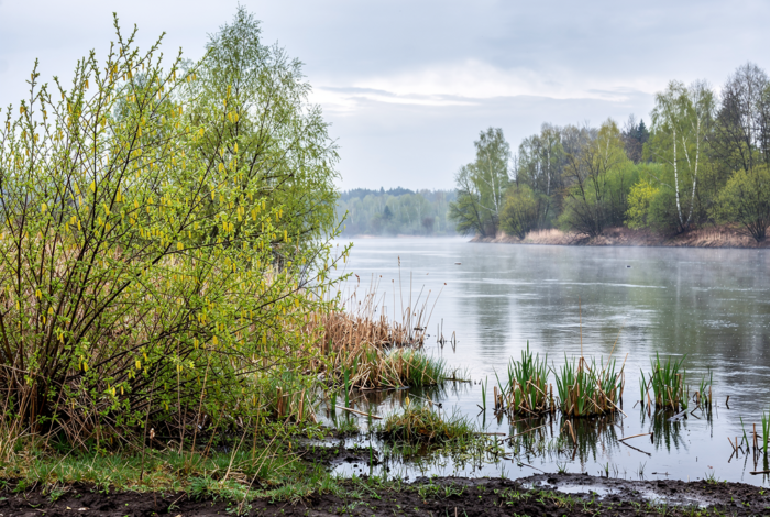 Погода у Холмах на 26.04.2026