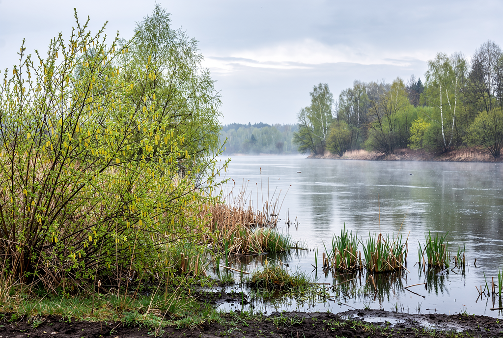 Погода у Холмах на 26.04.2026