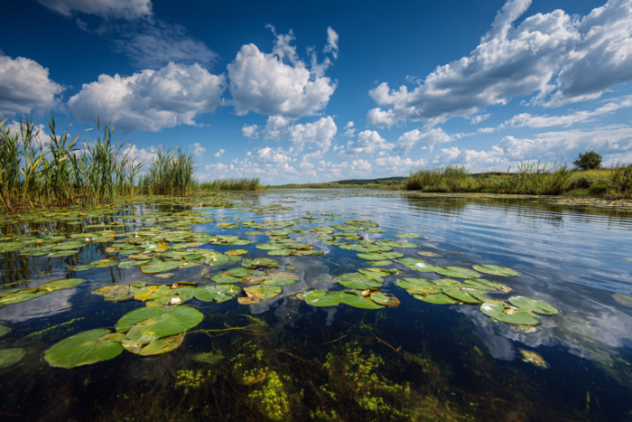 Погода у Холмах на 07.06.2026