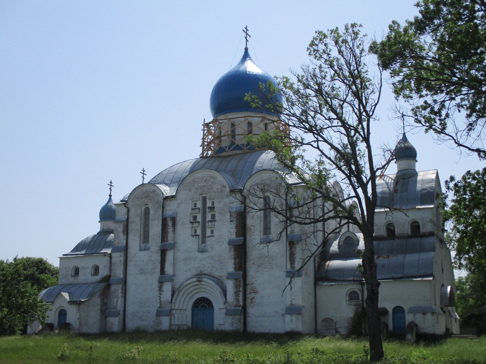 Жінка, яка викупила Жуклю з торгів