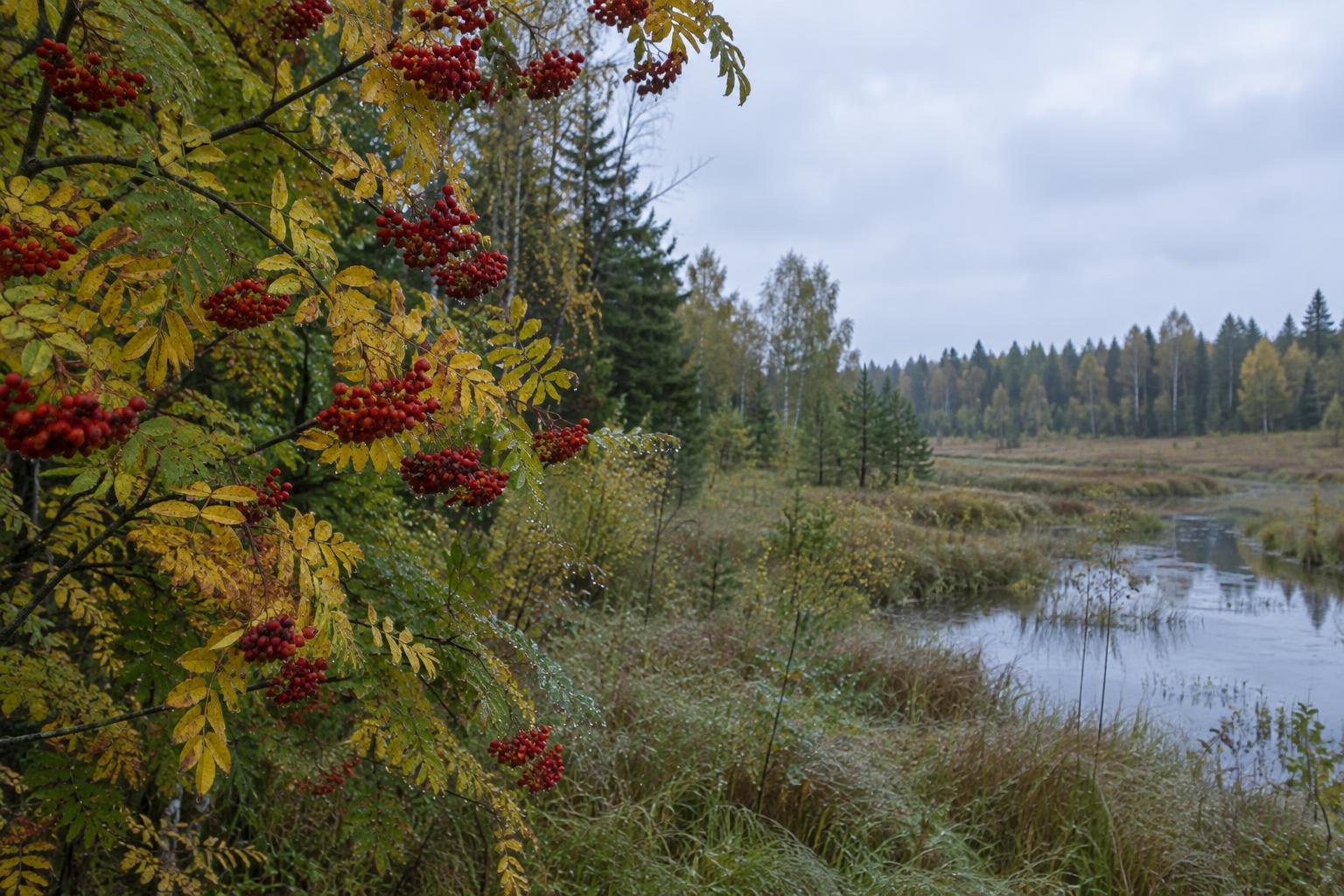 Погода у Холмах на 16.09.2026